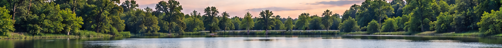 Illustrative rectangular crop of a wooded shoreline; not Grenada or a local view.